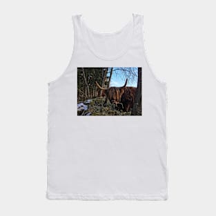 Scottish Highland Cattle Cow 2300 Tank Top